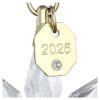 Annual Edition 3D Ornament Set 2025