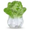 Asian Symbols Fortune Cabbage Asian Symbols Fortune Cabbage