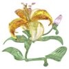 Florere Lily Large