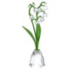 Florere Lily of the Valley Florere Lily of the Valley