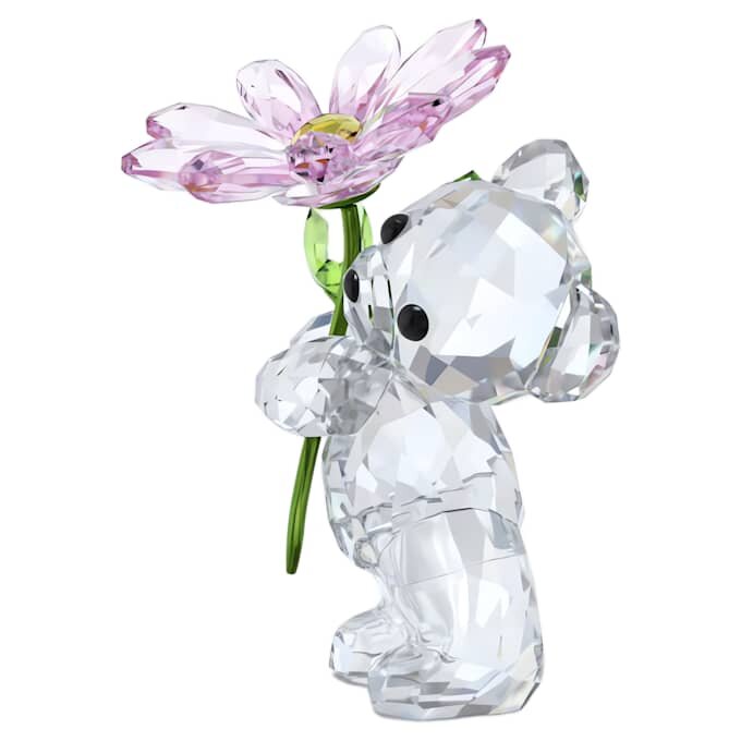 Kris Bear a Daisy for You Kris Bear a Daisy for You