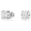 Stilla Stud Earrings Round Cut, White, Rhodium Plated Stilla Stud Earrings Round Cut, White, Rhodium Plated