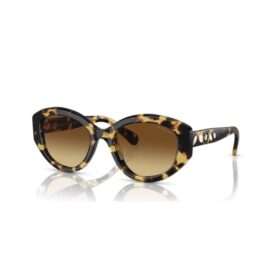 Sunglasses Cat-Eye Shape, Sk6008, Brown