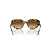 Sunglasses Cat-Eye Shape, Sk6008, Brown Sunglasses Cat-Eye Shape, Sk6008, Brown