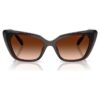 Sunglasses Cat-Eye Shape, Sk6047, Dark Brown Sunglasses Cat-Eye Shape, Sk6047, Dark Brown