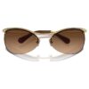 Sunglasses Oval Shape, Sk7018, Brown