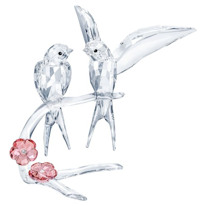 Swallows Swallows